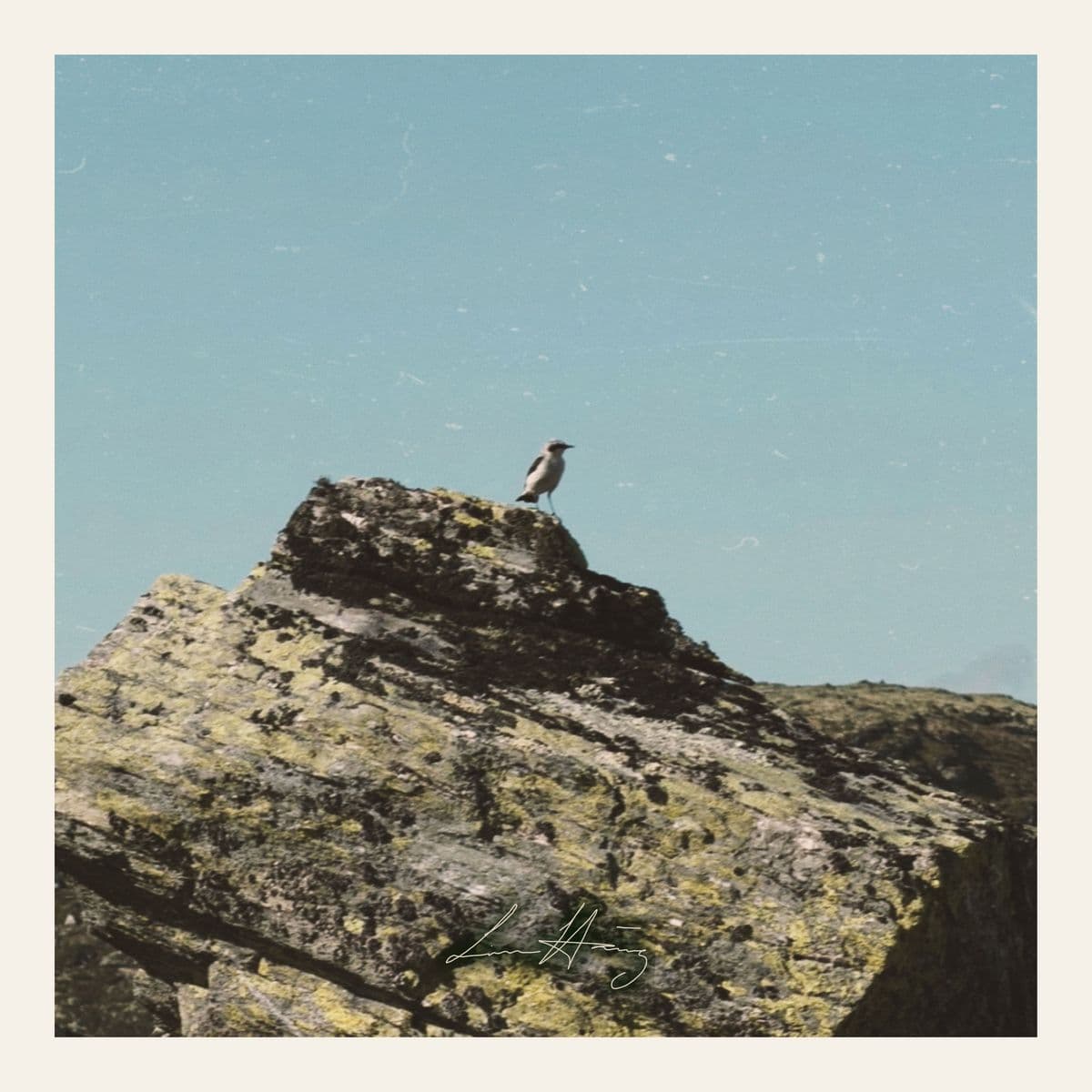 COVER-ART